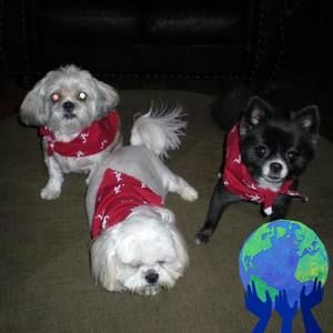 Meet your Posher, Dee